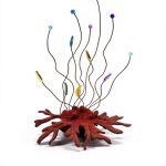 Developmental Biology eBook Princeton Press-0