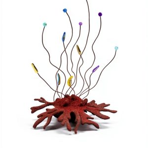 Developmental Biology eBook Princeton Press-0
