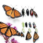 Baby Professor Biology eBooks for Kids-0